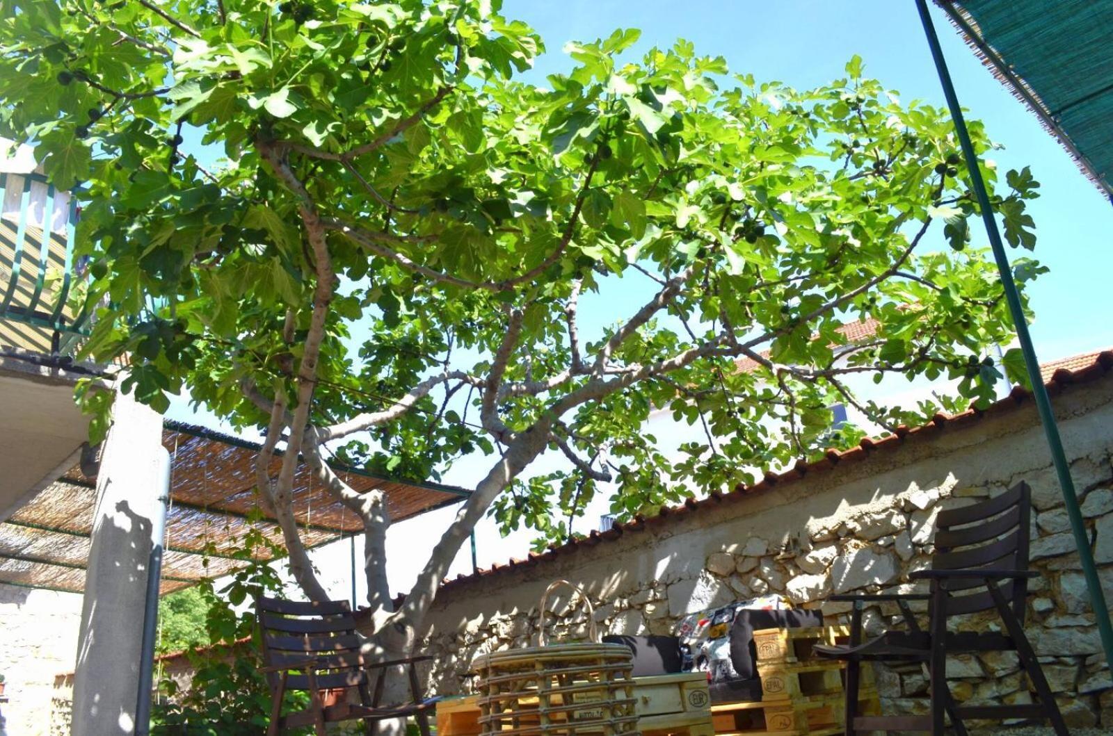 Apartmani Spanja Vodice Dış mekan fotoğraf